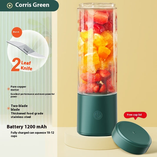 Smoothie- og Juice Blender 500ML
